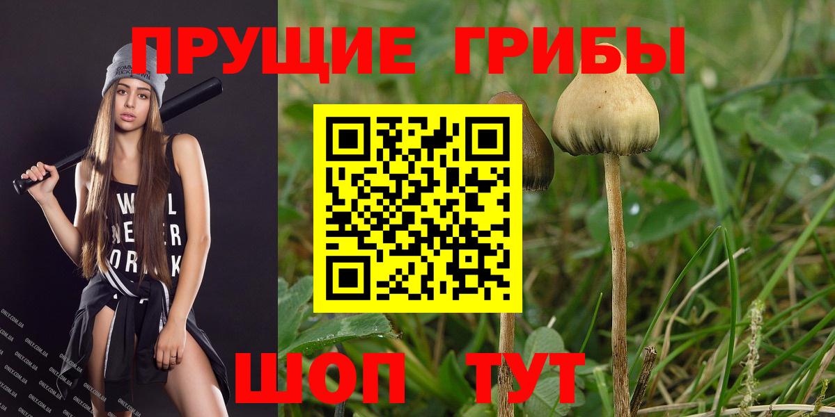 Лесосибирск  Галлюциногенные грибы MAGIC MUSHROOMS  Вход с VPN 